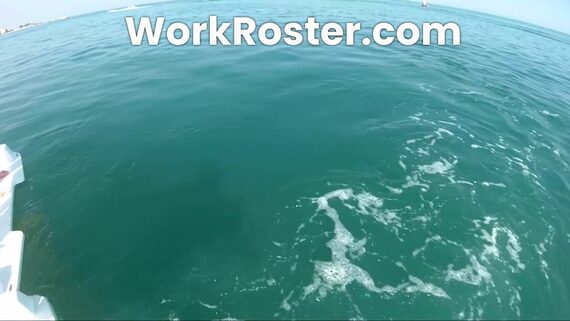 Roster Sofware for Leisure Companies Video Screenshot